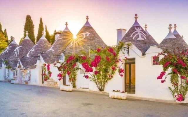 B&B Panaro