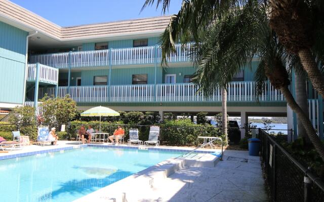 Beach Palms 6B by Anna Maria