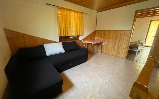 Vacation home with private swimming pool surrounded by nature