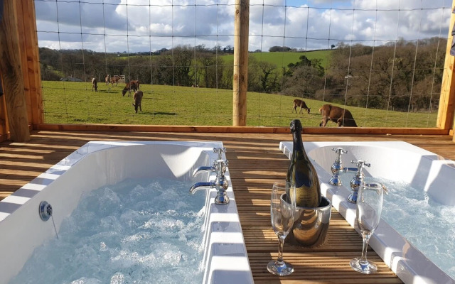 Luxury Safari Lodge Surrounded by Deer!! 'fallow'