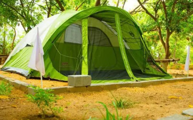 Wego Garden