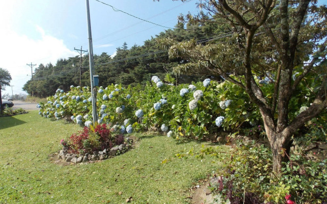 Hotel Las Orquideas