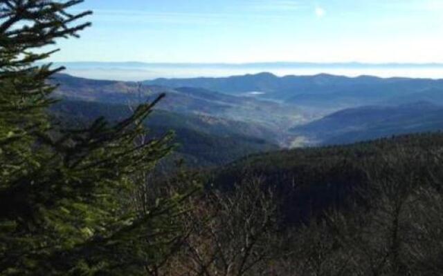 Studio des Gouttridos