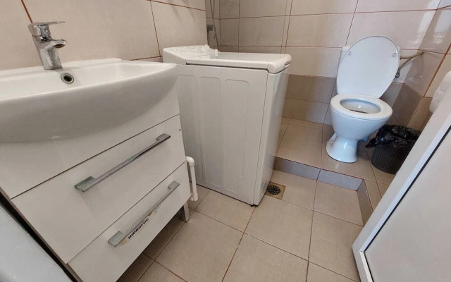 Vasile Apartment studio