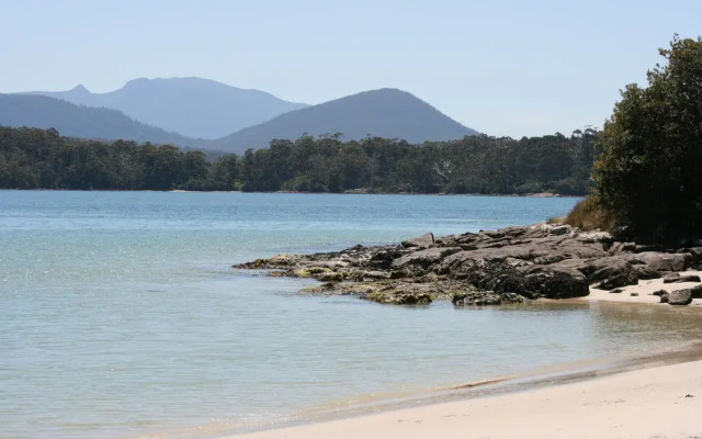 Essentially Tas - Southport