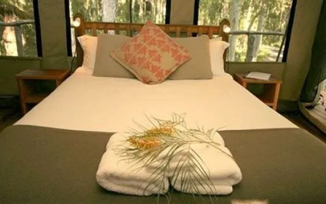 Paperbark Camp