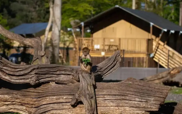 Knuthenborg Safaripark