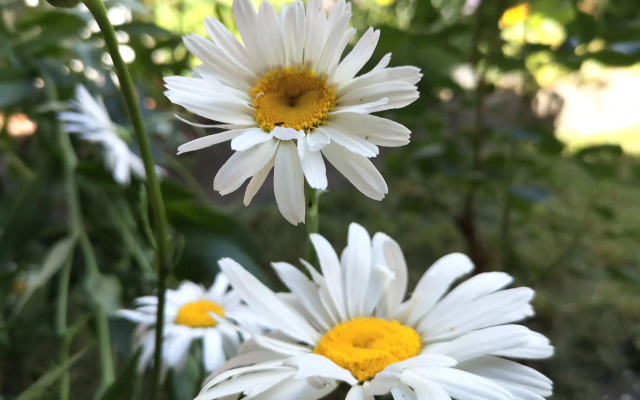 Stellar Apartment in Detmold With Garden