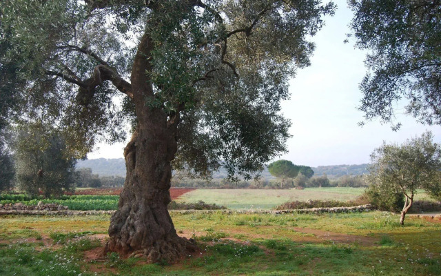 Terra di Leuca