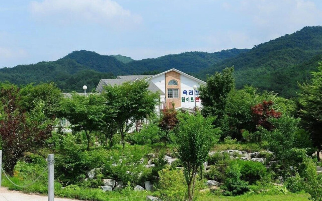 Songnisan Mountain White