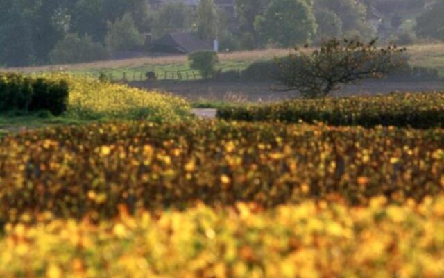 Gîte Bligny, 4 pièces, 6 personnes - FR-1-543-103