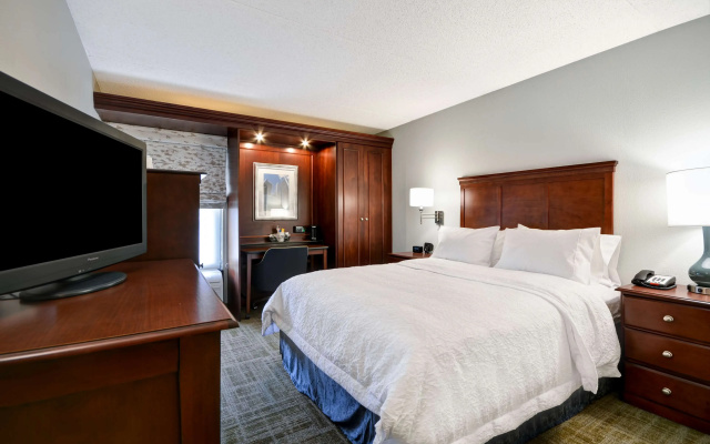 Hampton Inn Detroit/Northville