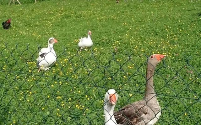 Studio chez Lili dans ferme familiale
