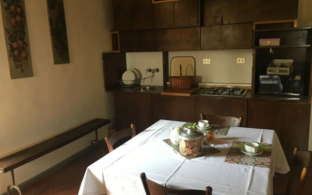 Wine Apartments Florence Lawrence