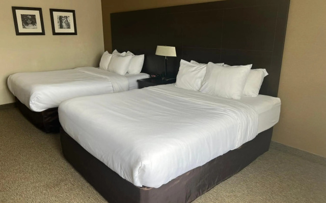 Comfort Inn