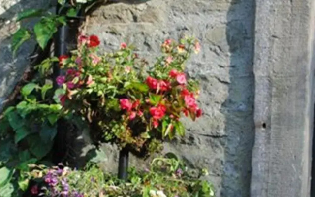 Langcliffe House B&B