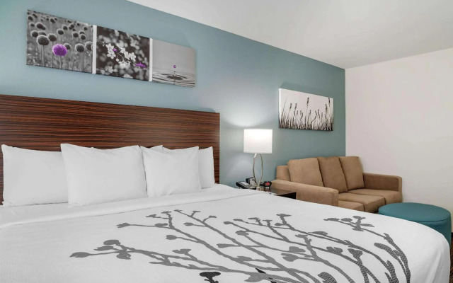 Sleep Inn & Suites near Westchase