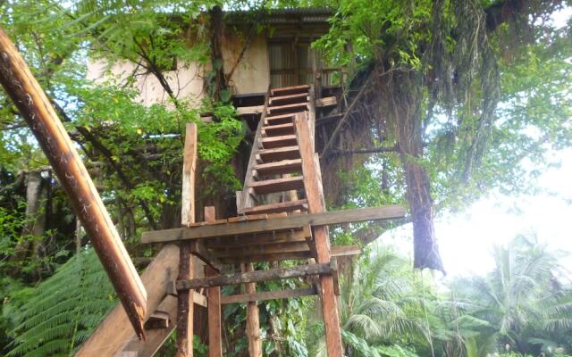 Castle Tree House