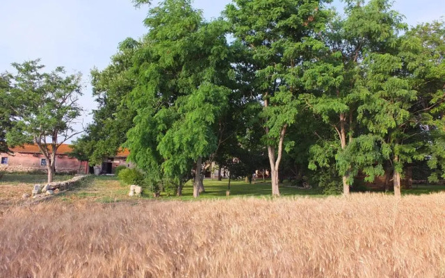 Agriturismo Casal Taccone