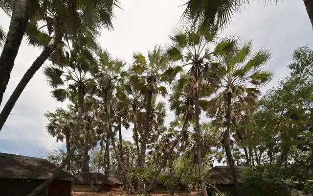 Omarunga Epupa-Falls Camp