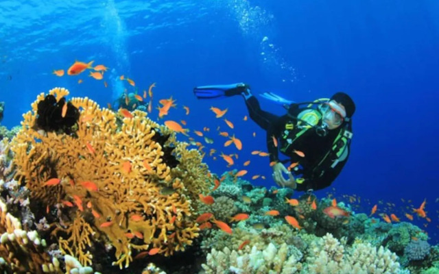 Unit 2 Private Apartment - Roseau