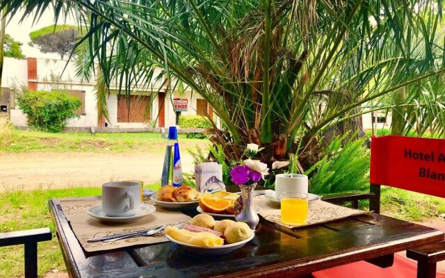 Águila Blanca Hotel