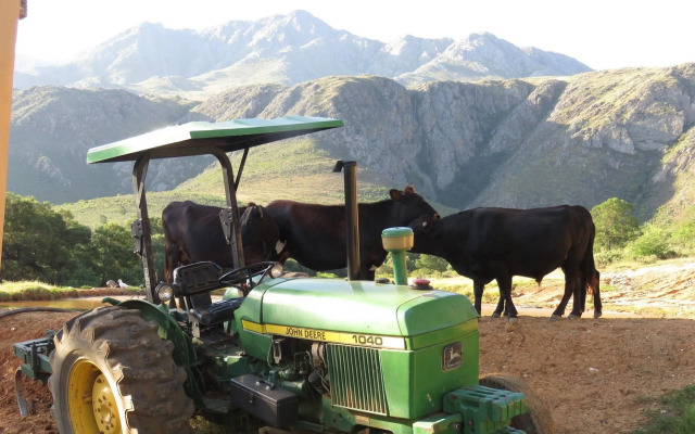 Swartberg Backpackers