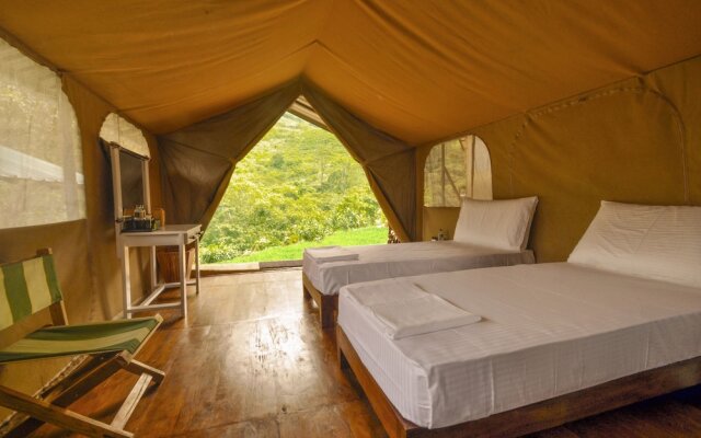 Wild Glamping