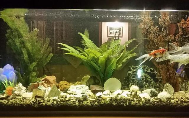 Waldhotel Zöbischhaus