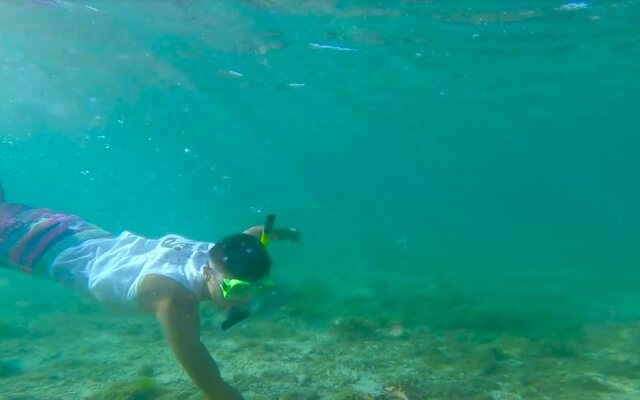 Tablas Point Resort