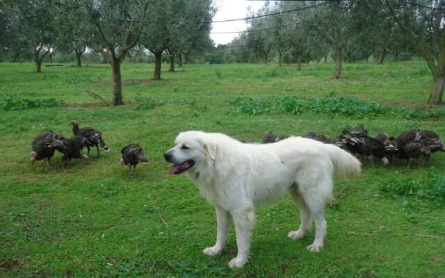 Agriturismo San Vito