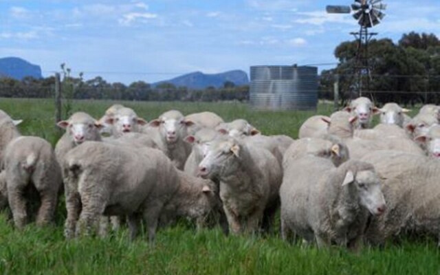 Grampians Historic Tobacco Kiln