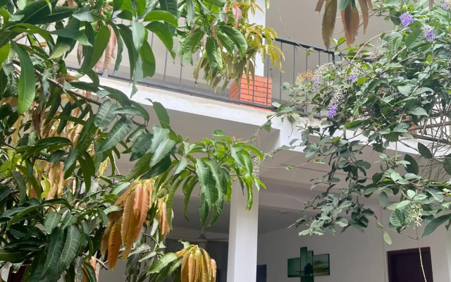 Vogel Nest