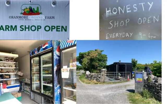 The Cosy Cabin by the shore