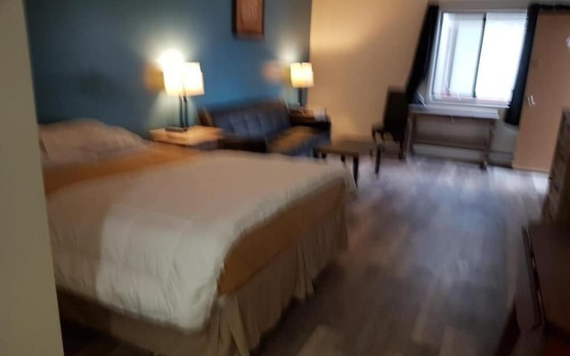 Metro Inn