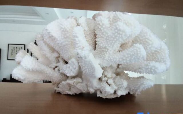 Yueqing Yandang Banshufang Inn