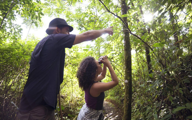 La Tigra Rainforest Lodge
