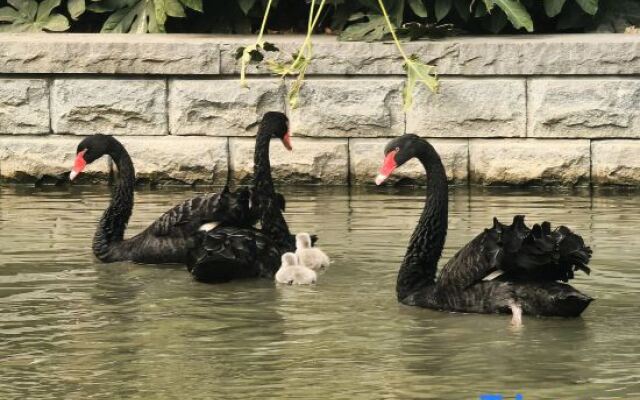 Suzhou Jingzhai Hotel