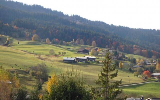 Studio in Praz-sur-arly, With Wonderful Mountain View and Enclosed Gar