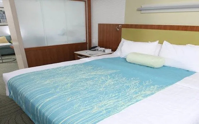 SpringHill Suites Flagstaff