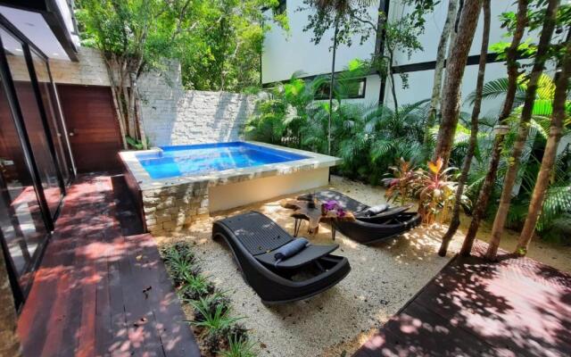 Casa Luna MT 3