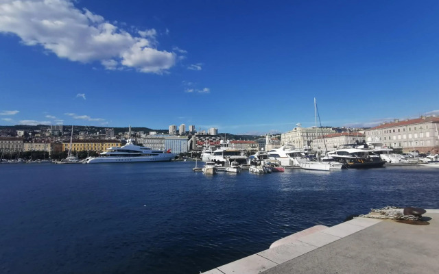 Little Flower in City Center