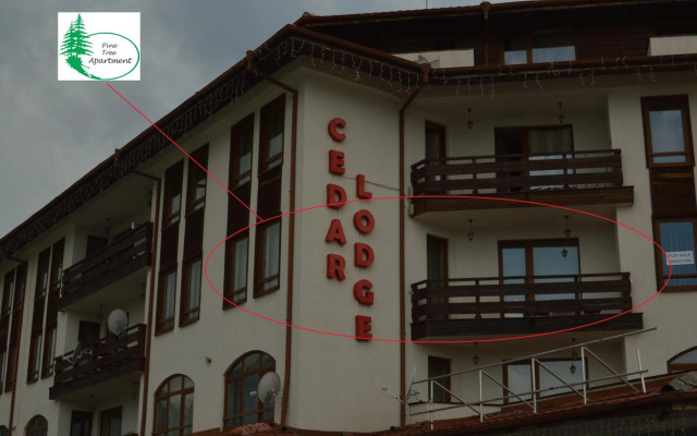 Pine Tree Apartment D34