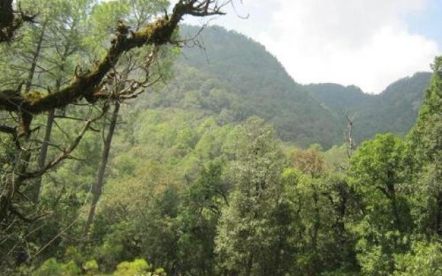 Janardan Homestay Nainital