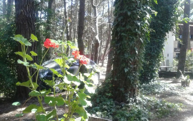 Cabañas De La Abuela