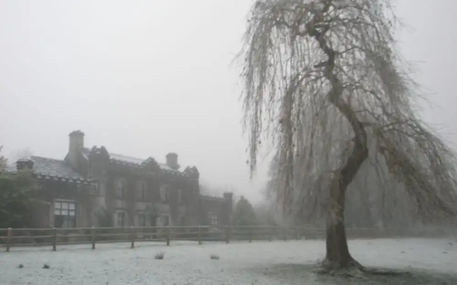Newpark House