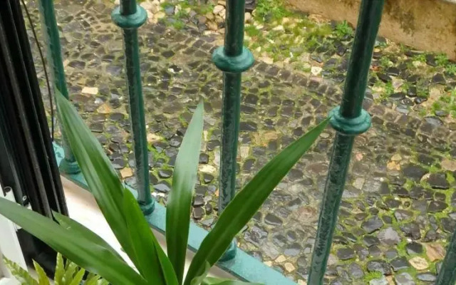 Casa Alfama