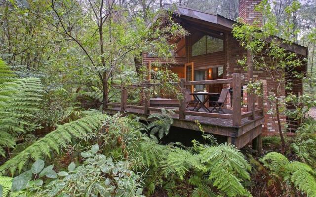 Woodlands Rainforest Retreat