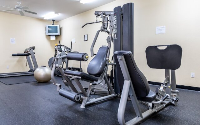 Celebrate at Club Cortile