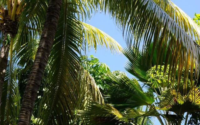 The Banyan Resort